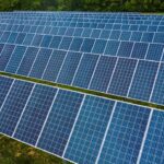Vegetation Management Matters for Solar Farm