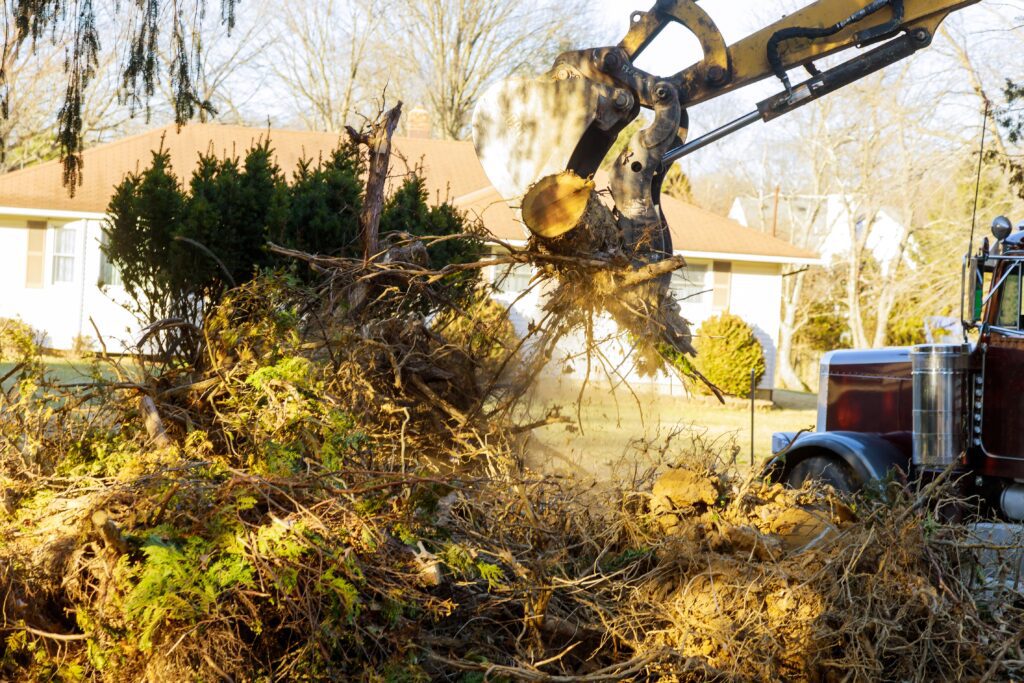 vegetation removal