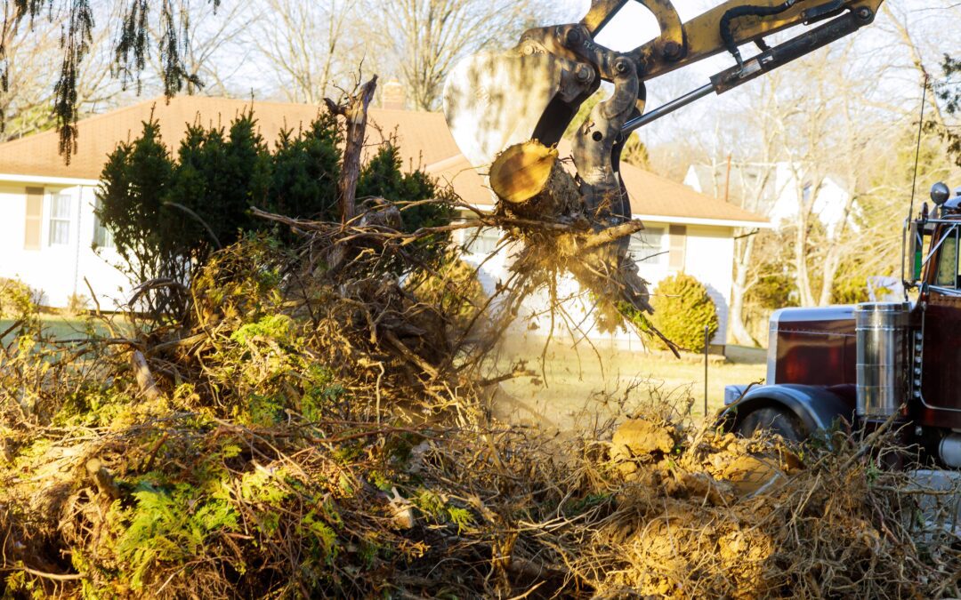Why Hiring a Professional Vegetation Removal Company to Clear Land is Worth It