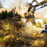 vegetation removal